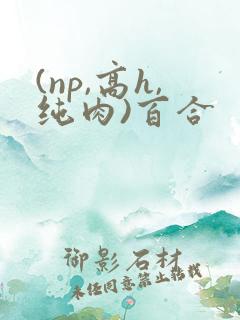(np,高h,纯肉)百合