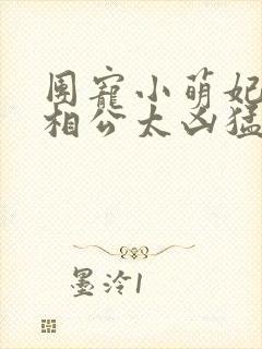 团宠小萌妃王爷相公太凶猛