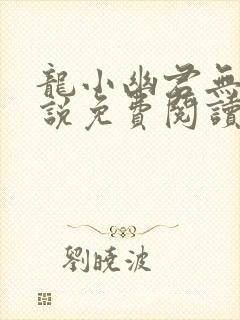 龙小幽君无邪小说免费阅读