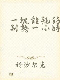 一级能耗的空调制热一小时几度电