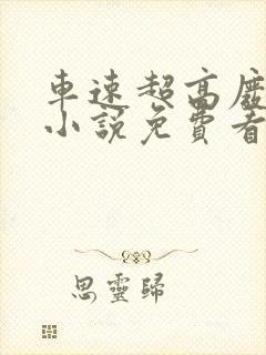 车速超高废文的小说免费看