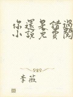 你还是错过了我小说免费阅读全文