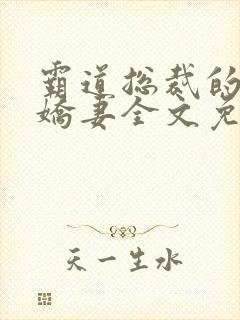 霸道总裁的独宠娇妻全文免费阅读