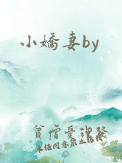 小娇妻by