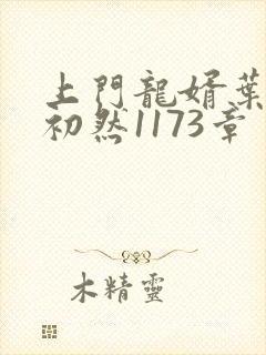 上门龙婿叶辰萧初然1173章