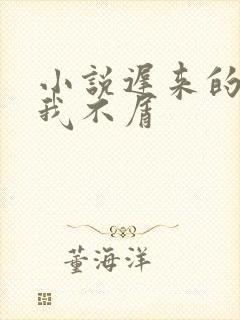 小说迟来的深情我不屑