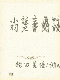 小说主角叫周轻羽免费阅读