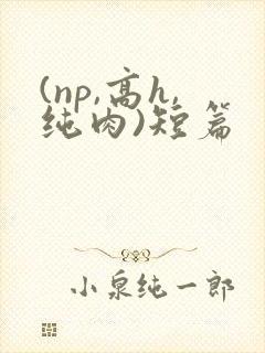 (np,高h,纯肉)短篇
