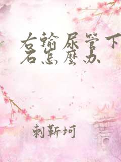 右输尿管下段结石怎么办