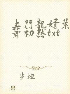 上门龙婿叶辰,萧初然txt