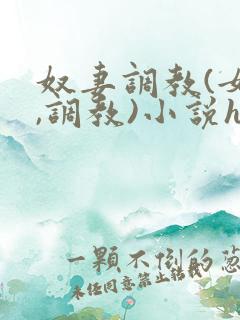 奴妻调教(女m,调教)小说hhh
