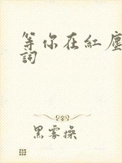 等你在红尘中歌词