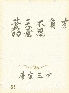 苍天不负有心人的意思