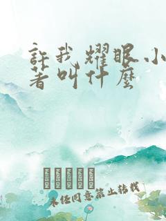 许我耀眼小说原著叫什么