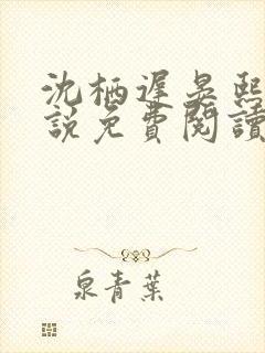 沈栖迟晏熙宁小说免费阅读最新章节