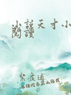 小说天才小毒妃阅读