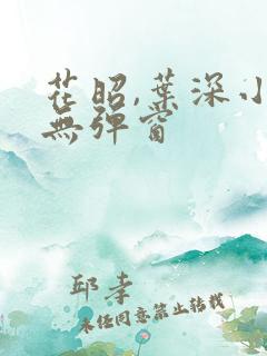 花昭,叶深小说无弹窗