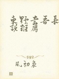 东野圭吾长篇小说推荐