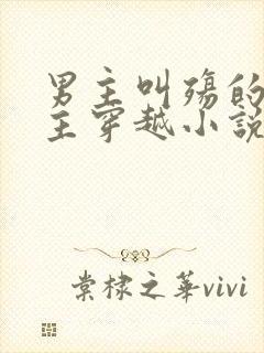 男主叫殇的,女主穿越小说