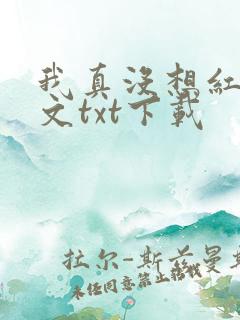 我真没想红啊全文txt下载