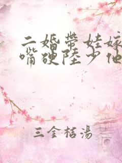 二婚带娃嫁豪门嘴硬陆少他真香了小说