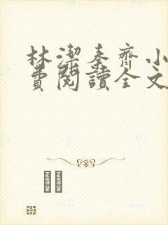 林洁秦齐小说免费阅读全文最新章节