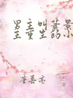 男主叫萧景行女主重生的小说