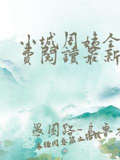 小城周姨全文免费阅读最新章节