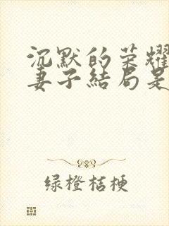 沉默的荣耀聂曦妻子结局是什么