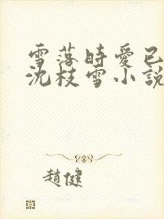 雪落时爱已落幕沈枝雪小说