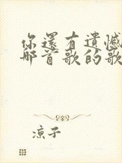 你还有遗憾吗是哪首歌的歌词