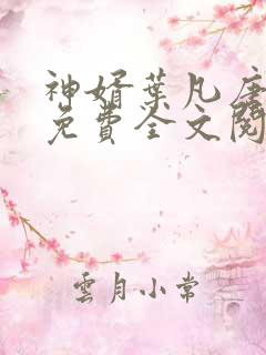 神婿叶凡唐若雪免费全文阅读神