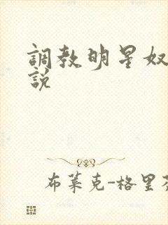 调教明星奴隶小说