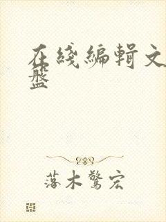 在线编辑文档网盘