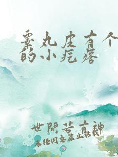 睾丸皮有个硬硬的小疙瘩