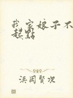 我家娘子不对劲起点