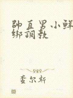 帅直男小鲜肉捆绑调教