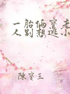 一胎俩宝老婆大人别想逃小说免费阅读