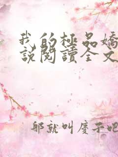 我的极品娇妻小说阅读全文