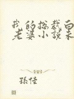 我的总裁白富美老婆小说未删减在线看