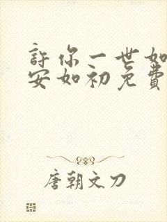 许你一世如初 安如初免费
