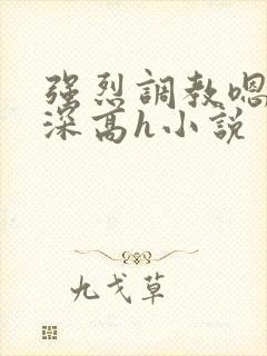 强烈调教嗯啊好深高h小说