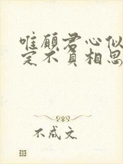 唯愿君心似我心定不负相思意