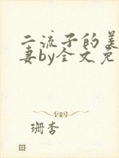 二流子的美貌娇妻by全文免费阅读小说