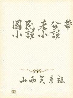 国民老公带回家小说小说