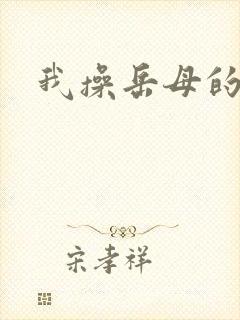 我操岳母的小说