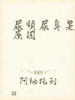 尿频尿臭是什么原因