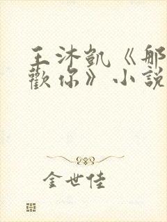 王沐凯《那时喜欢你》小说免费阅读