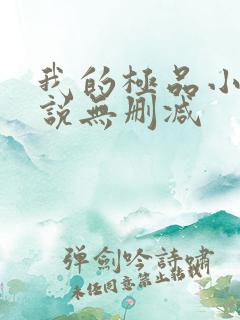 我的极品小姨小说无删减