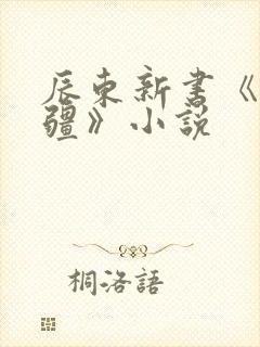 辰东新书《夜无疆》小说